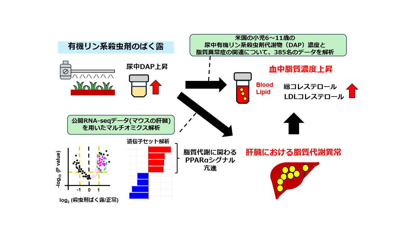 森本靖久 先生、菊池寛昭 助教らの論文がEcotoxicology and Environmental Safety (IF 6.1)に受理